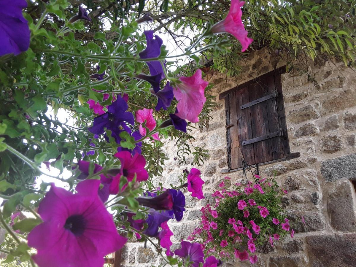 Bed and Breakfast La Belle Âme Saint-Priest-des-Champs Esterno foto
